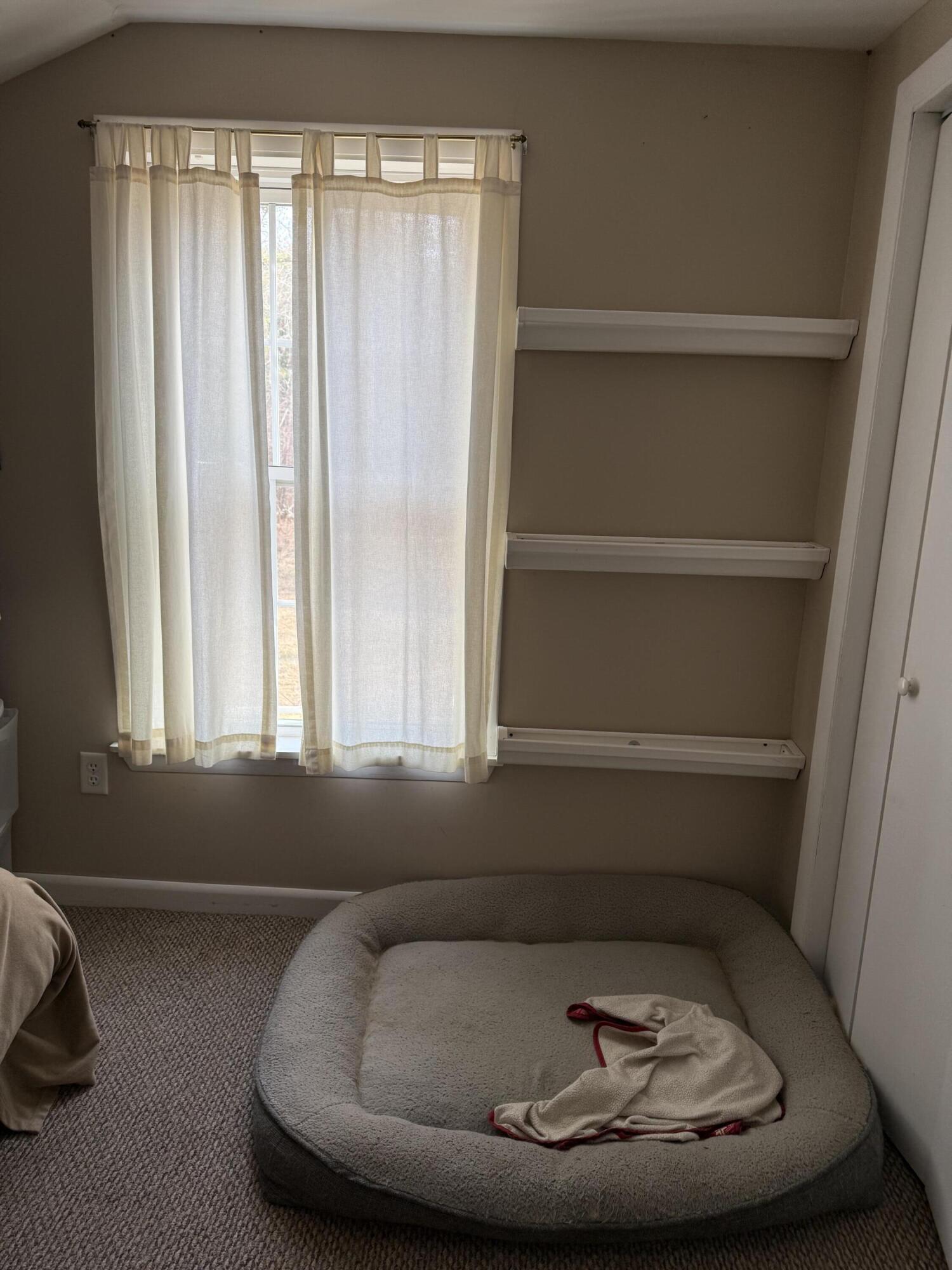 123 County Road Milford, ME 04461 - Photo 13 of 18 IMG_7807