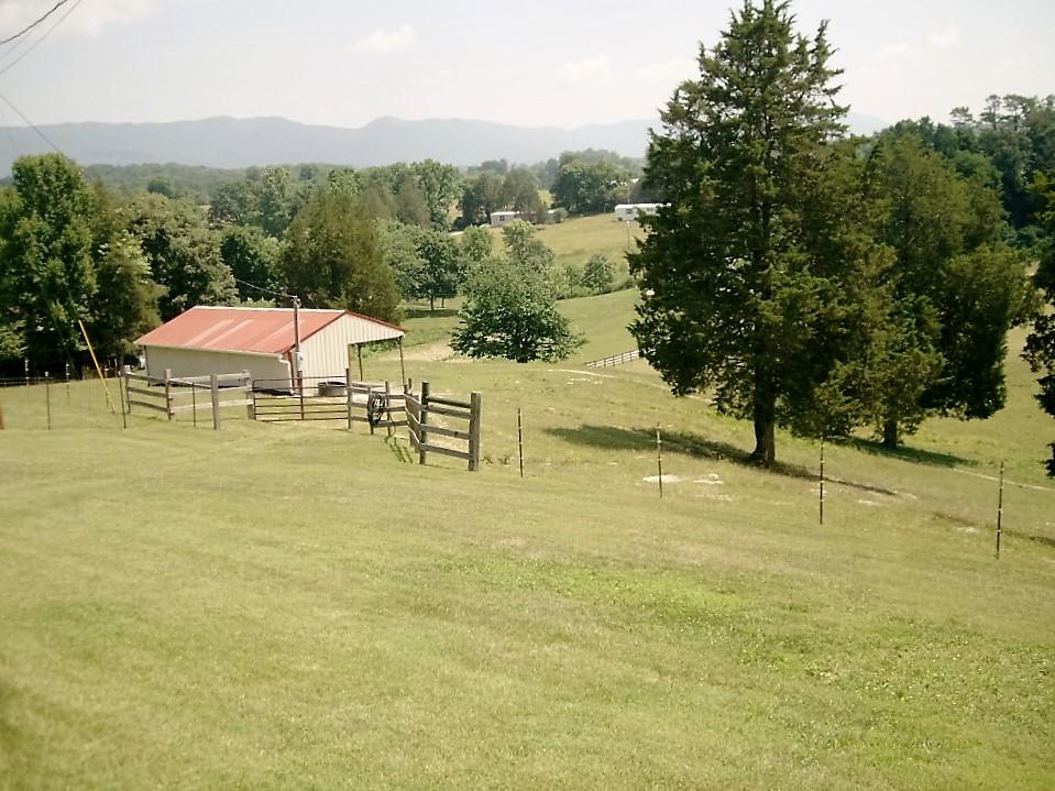 663 Carr Wynn Road La Follette, TN 37766 - Photo 11 of 12 PICT8857