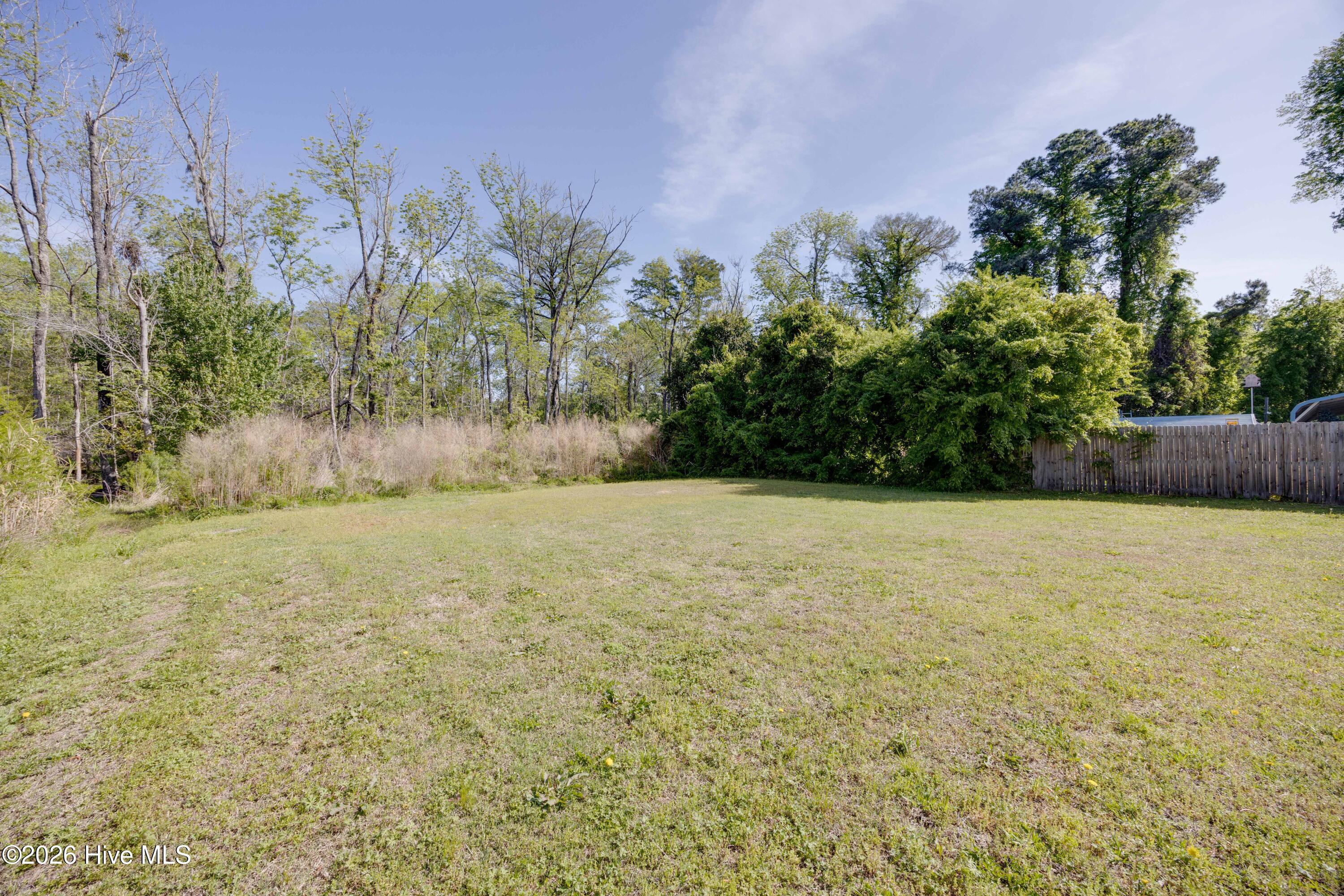 322 River Road Washington, NC 27889 - Photo 34 of 37 Back Yard