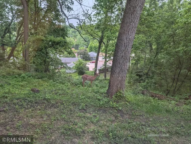 $264,895 | 528 20th Street, Red Wing, MN 55066