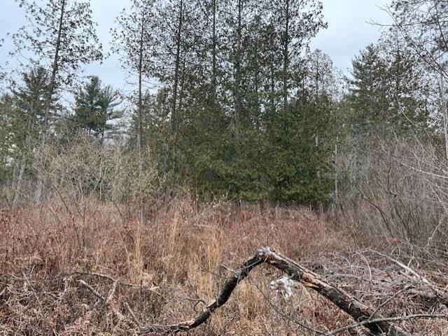 0 North Miller Road East Tawas, MI 48730 - Photo 11 of 23