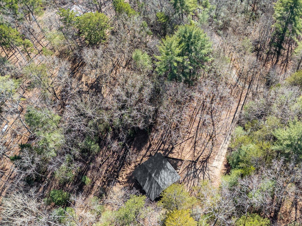 45 Mountain Stream Road Murphy, NC 28906 - Photo 39 of 42 a view of a tree in a yard