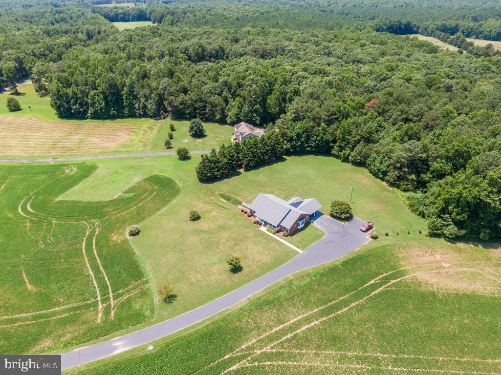 2420 Butler Road Beaverdam, VA 23015 - Photo 4 of 63 Summer picture from air