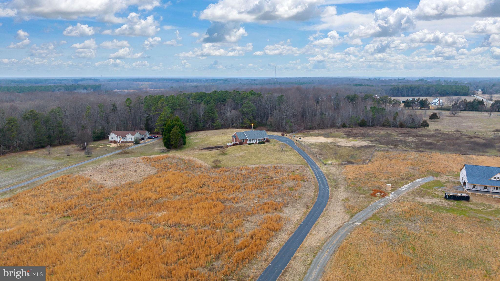 2420 Butler Road Beaverdam, VA 23015 - Photo 41 of 63