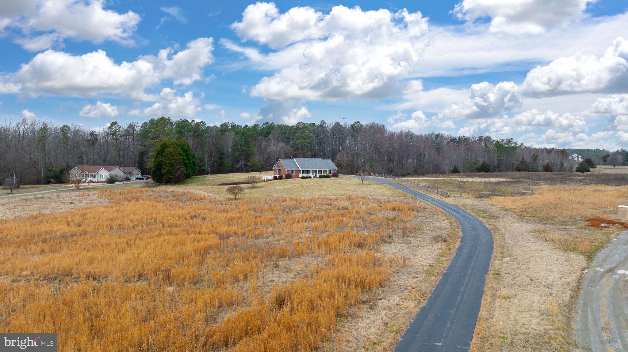 2420 Butler Road Beaverdam, VA 23015 - Photo 42 of 63