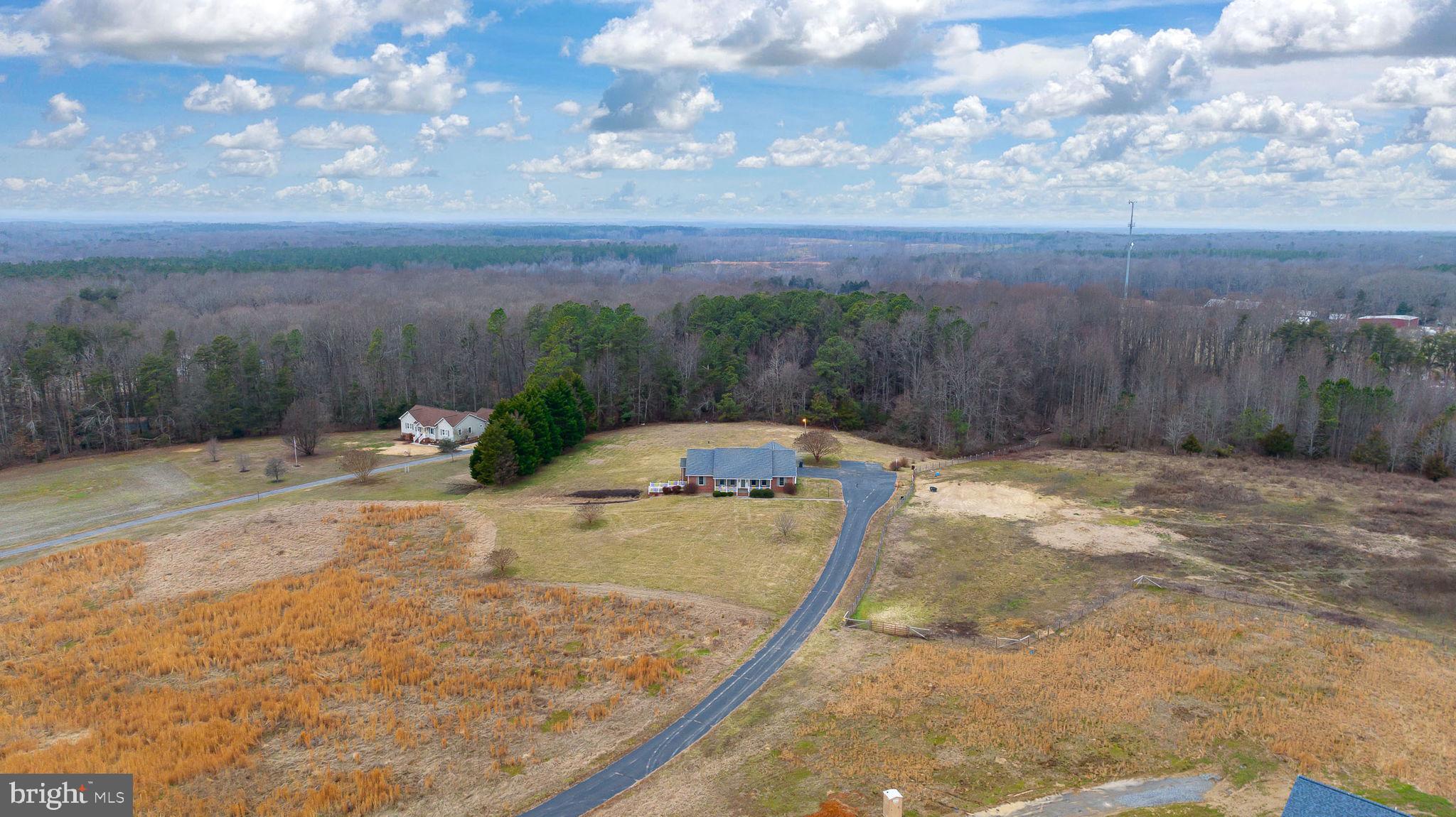 2420 Butler Road Beaverdam, VA 23015 - Photo 43 of 63
