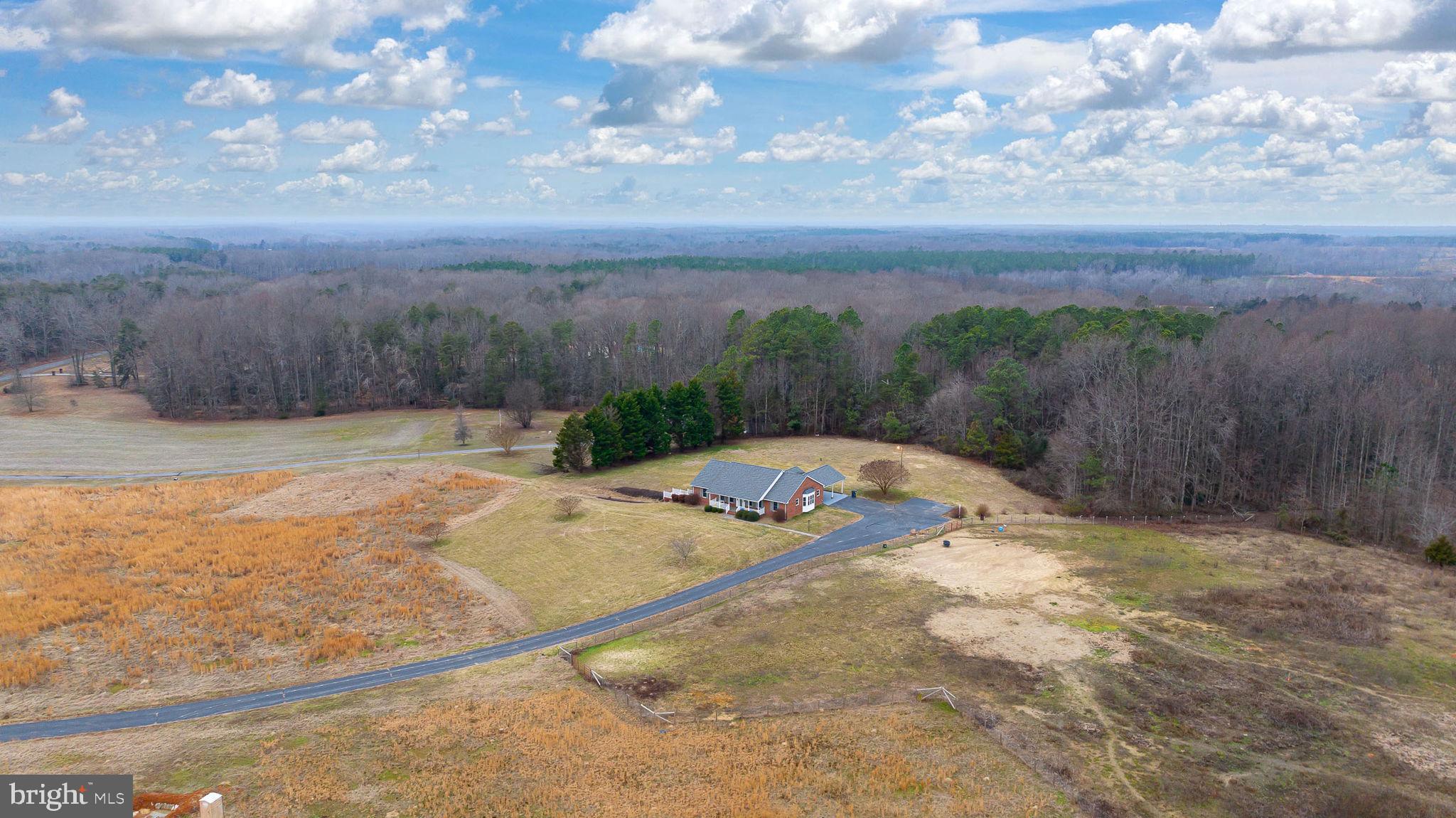 2420 Butler Road Beaverdam, VA 23015 - Photo 44 of 63
