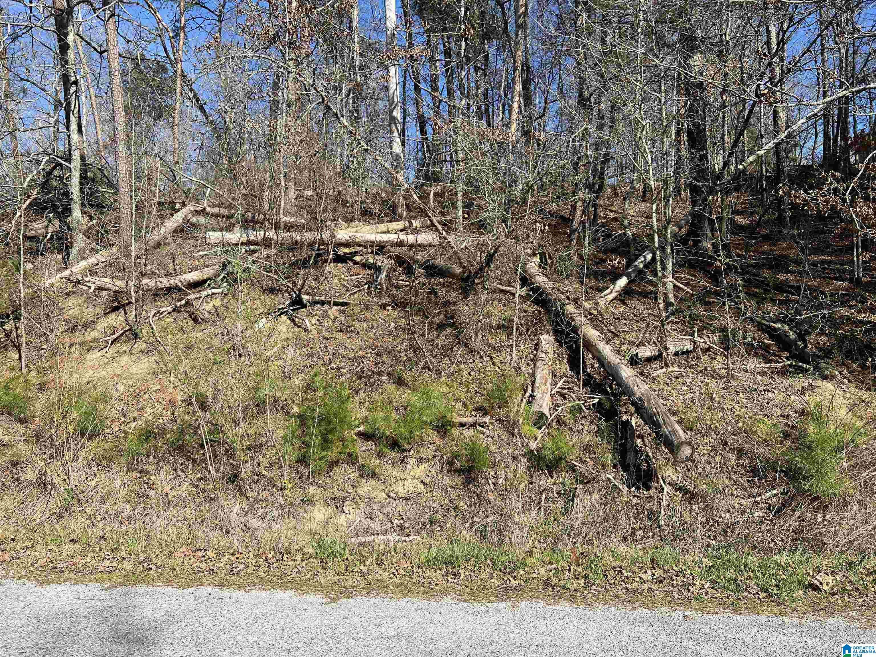 0 Lakeshore Lane, Unit 4 Oneonta, AL 35121 - Photo 30 of 49