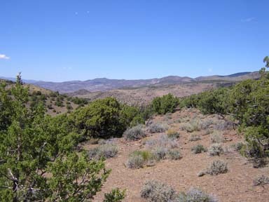 0 Headgate Trail Reno, NV 89506 - Photo 6 of 9 Photo 6