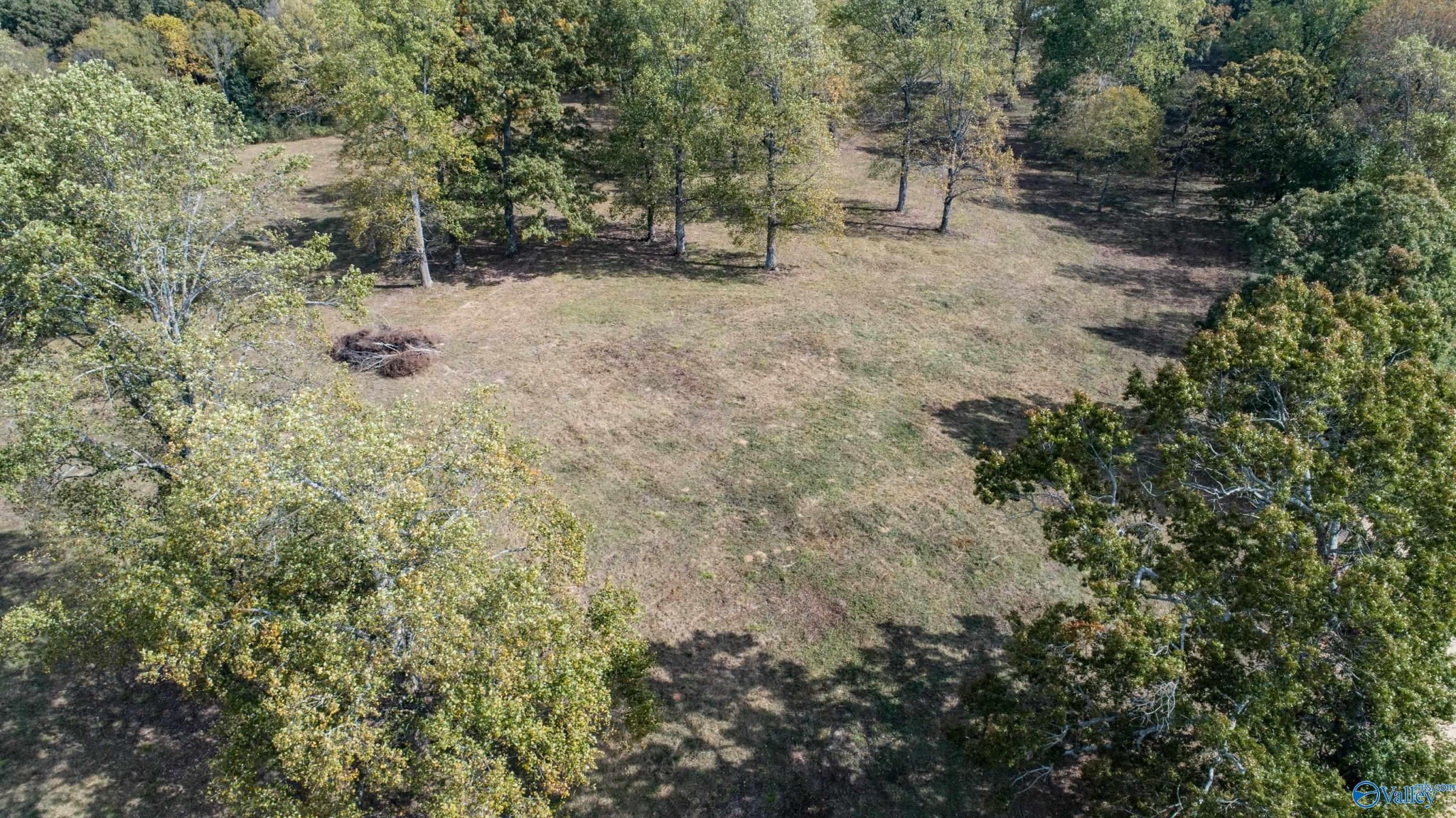 1 Teddy White Road Lexington, AL 35648 - Photo 16 of 25