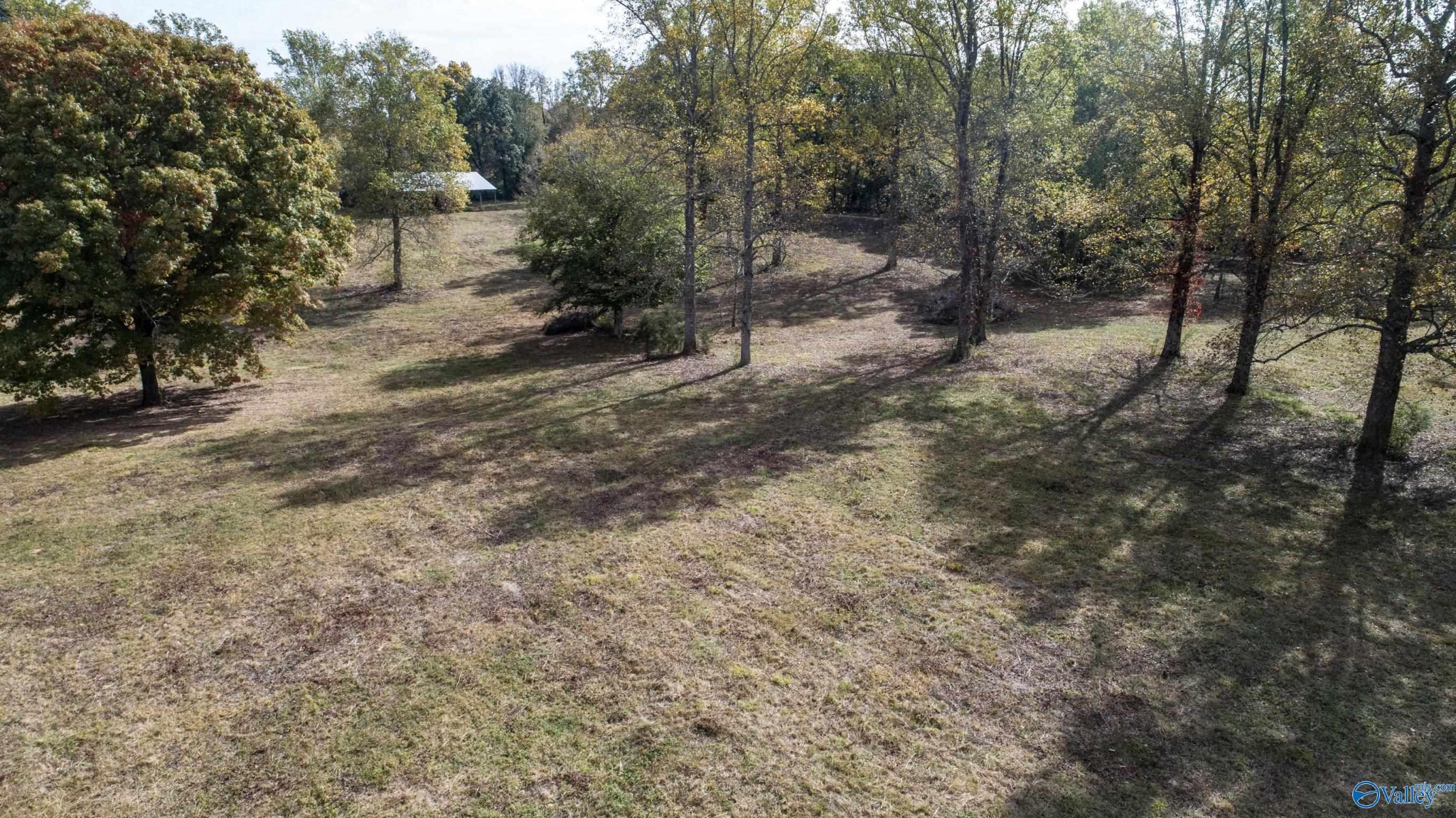 1 Teddy White Road Lexington, AL 35648 - Photo 17 of 25