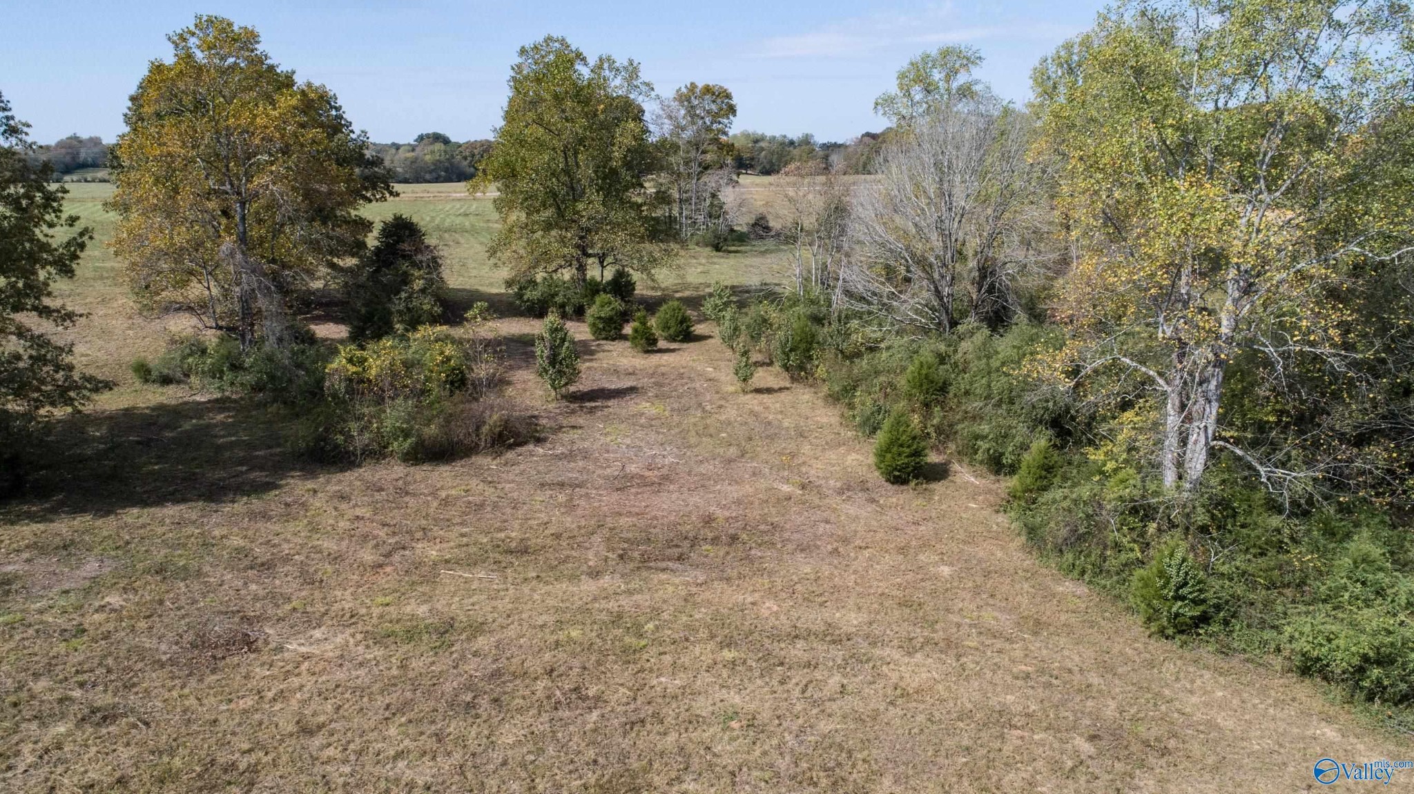 1 Teddy White Road Lexington, AL 35648 - Photo 19 of 25