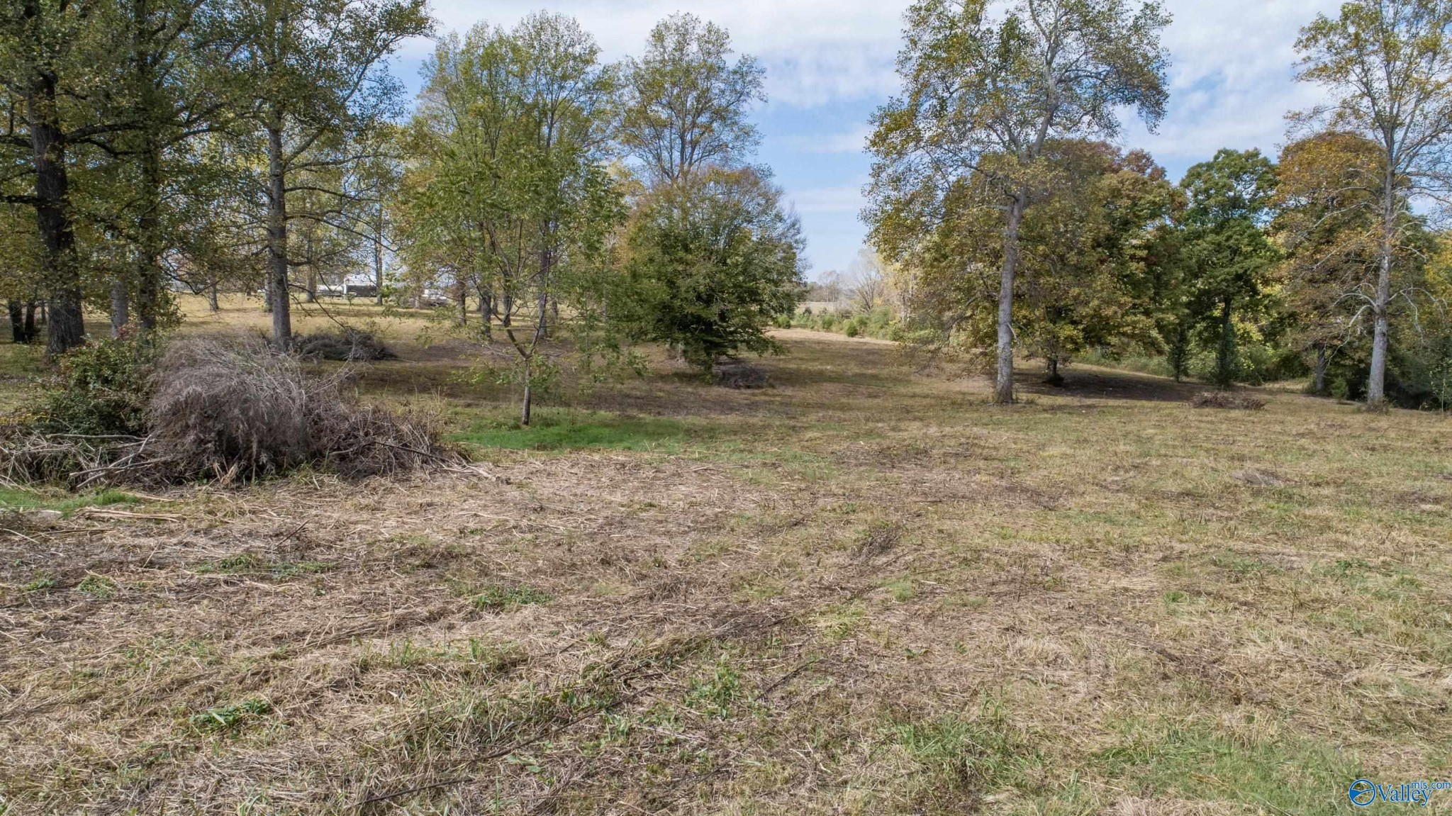 1 Teddy White Road Lexington, AL 35648 - Photo 23 of 25