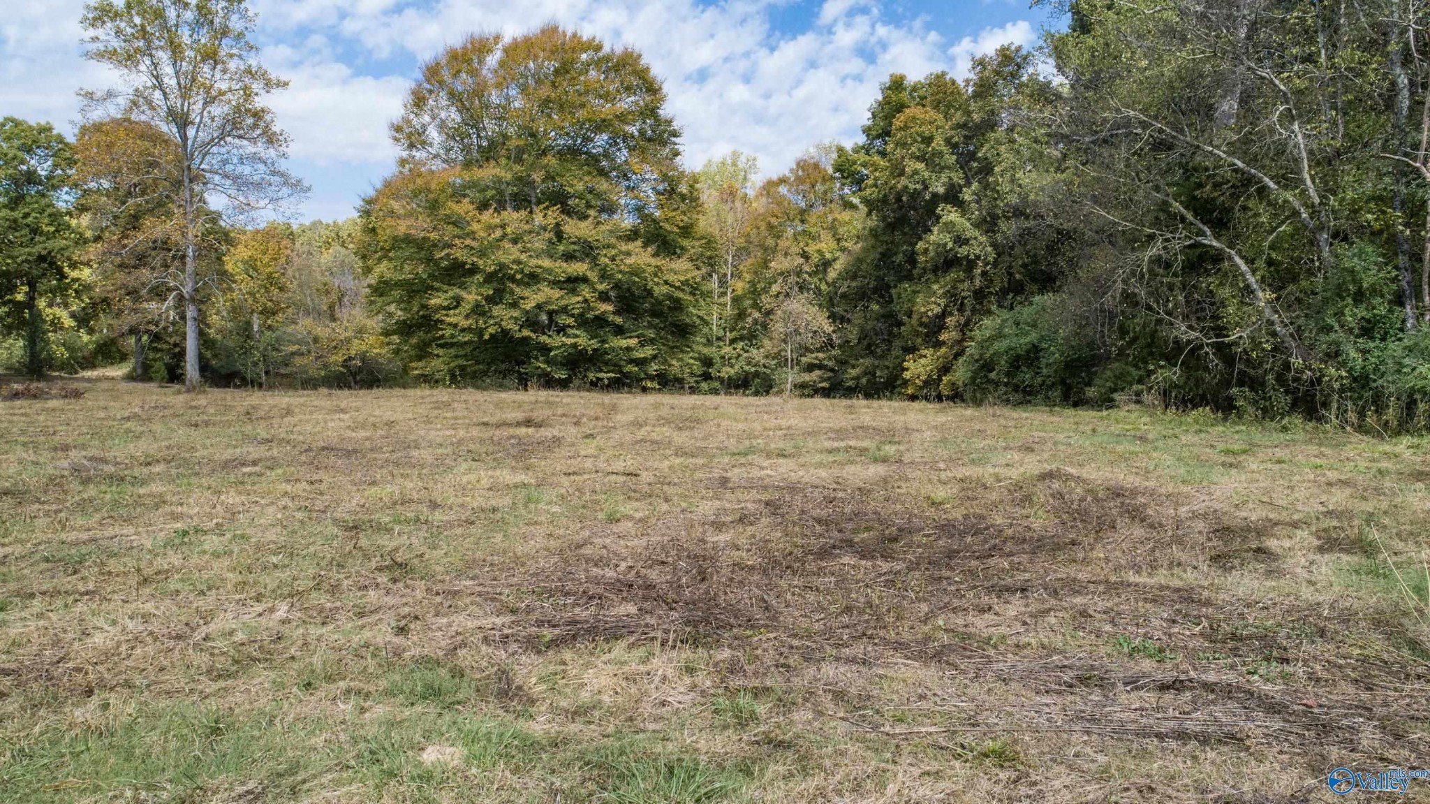 1 Teddy White Road Lexington, AL 35648 - Photo 24 of 25