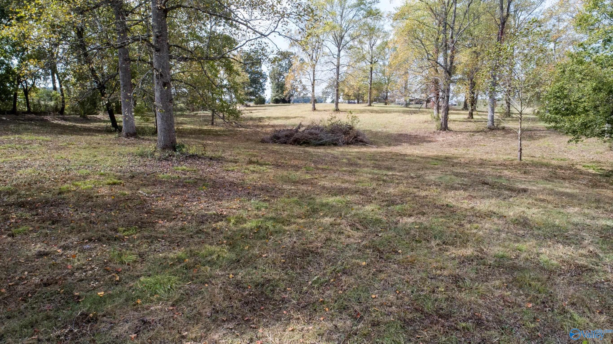 1 Teddy White Road Lexington, AL 35648 - Photo 25 of 25