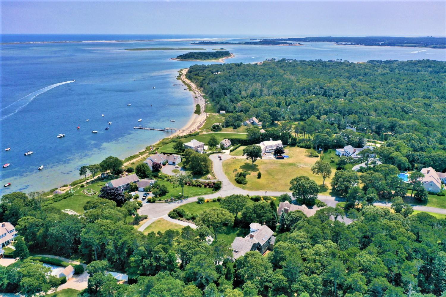 22 Little Bay Road Orleans, MA 02653 - Photo 35 of 39 a picture of flowers