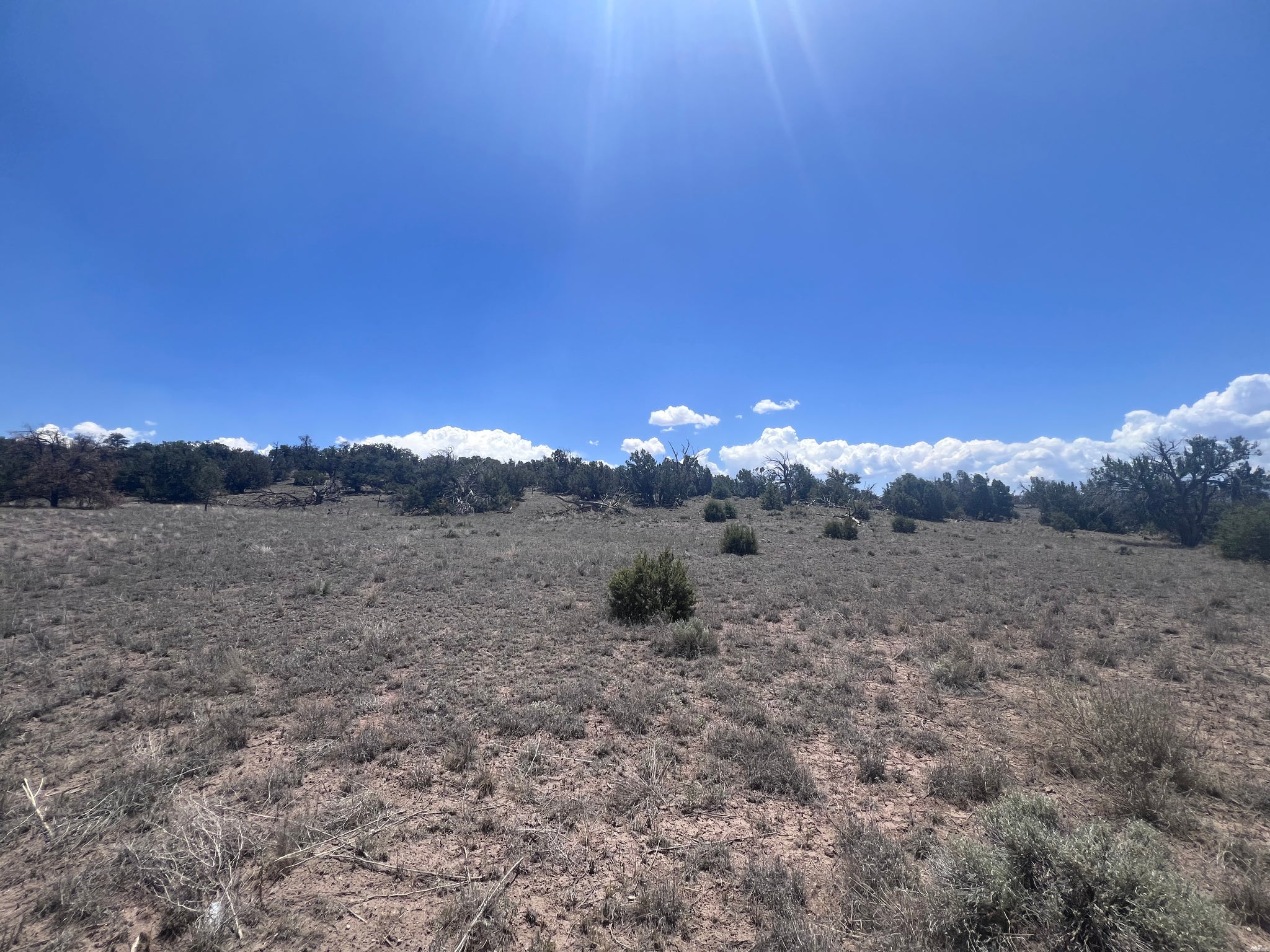 0 Omega Road, Unit 24 Quemado, NM 87829 - Photo 11 of 23 Gallery Image 11