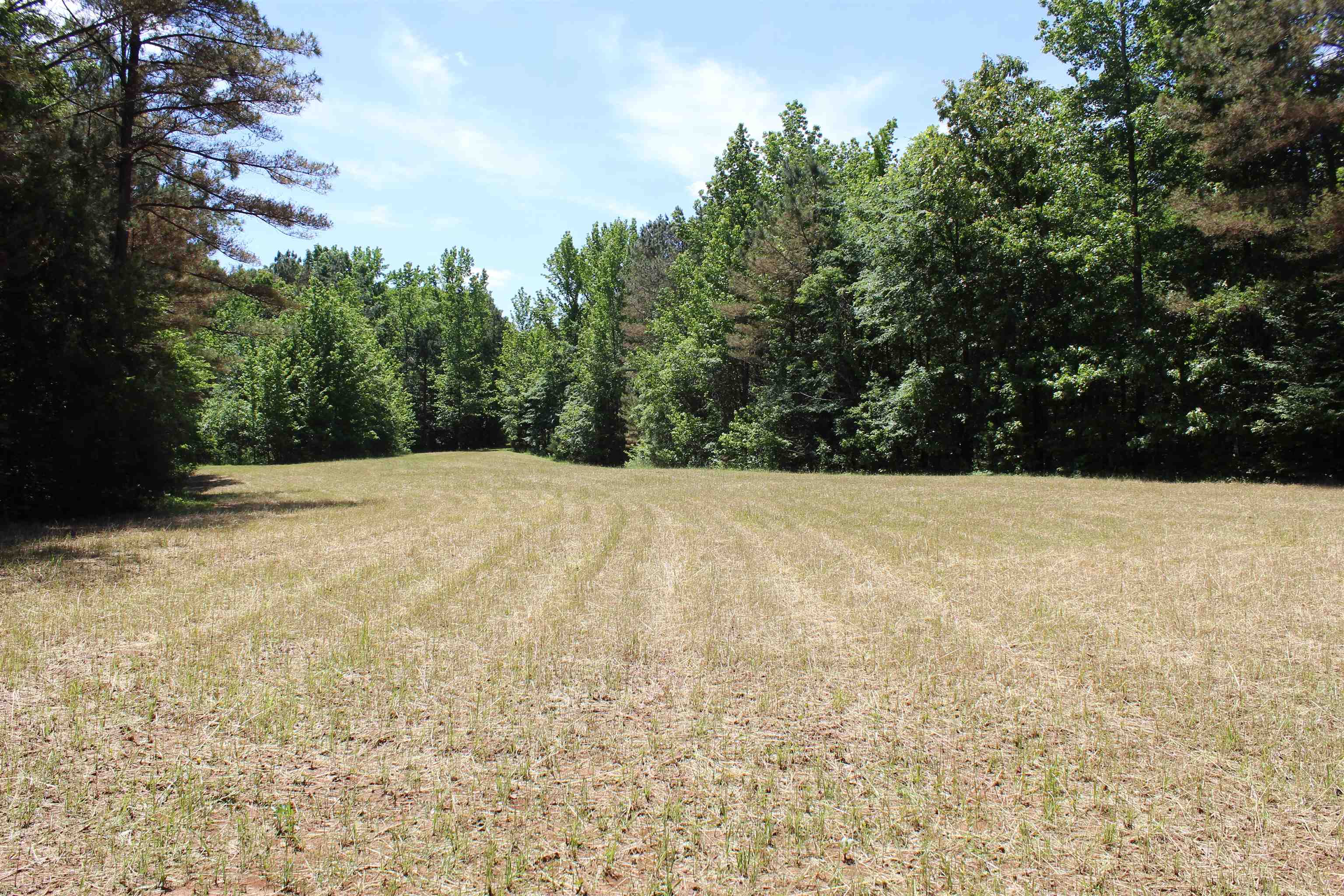 0 Silerton Road Toone, TN 38381 - Photo 17 of 24