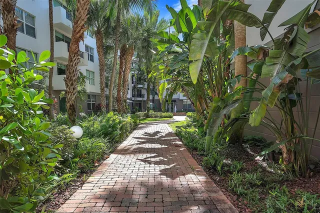a view of a pathway with plants