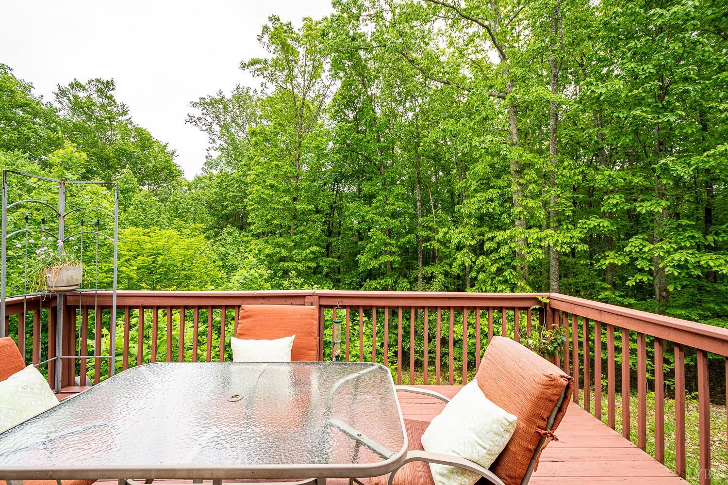 552 Pendleton Drive Amherst, VA 24521 - Photo 20 of 58 a view of a chair in a balcony