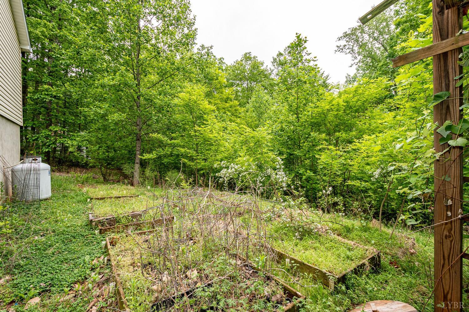 552 Pendleton Drive Amherst, VA 24521 - Photo 42 of 58 a view of a backyard of the house
