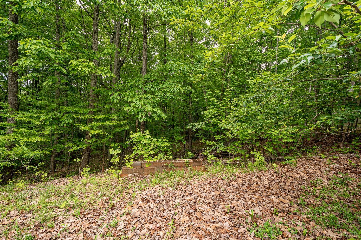 552 Pendleton Drive Amherst, VA 24521 - Photo 49 of 58 a view of a yard with plants and large trees