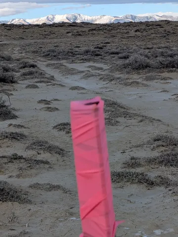 $49,000 | 497 County Road, Rawlins, WY 82301