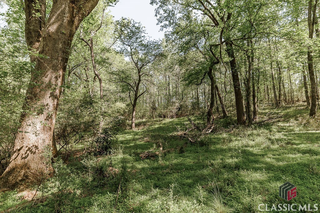 2900 Colham Ferry Road Watkinsville, GA 30677 - Photo 58 of 65