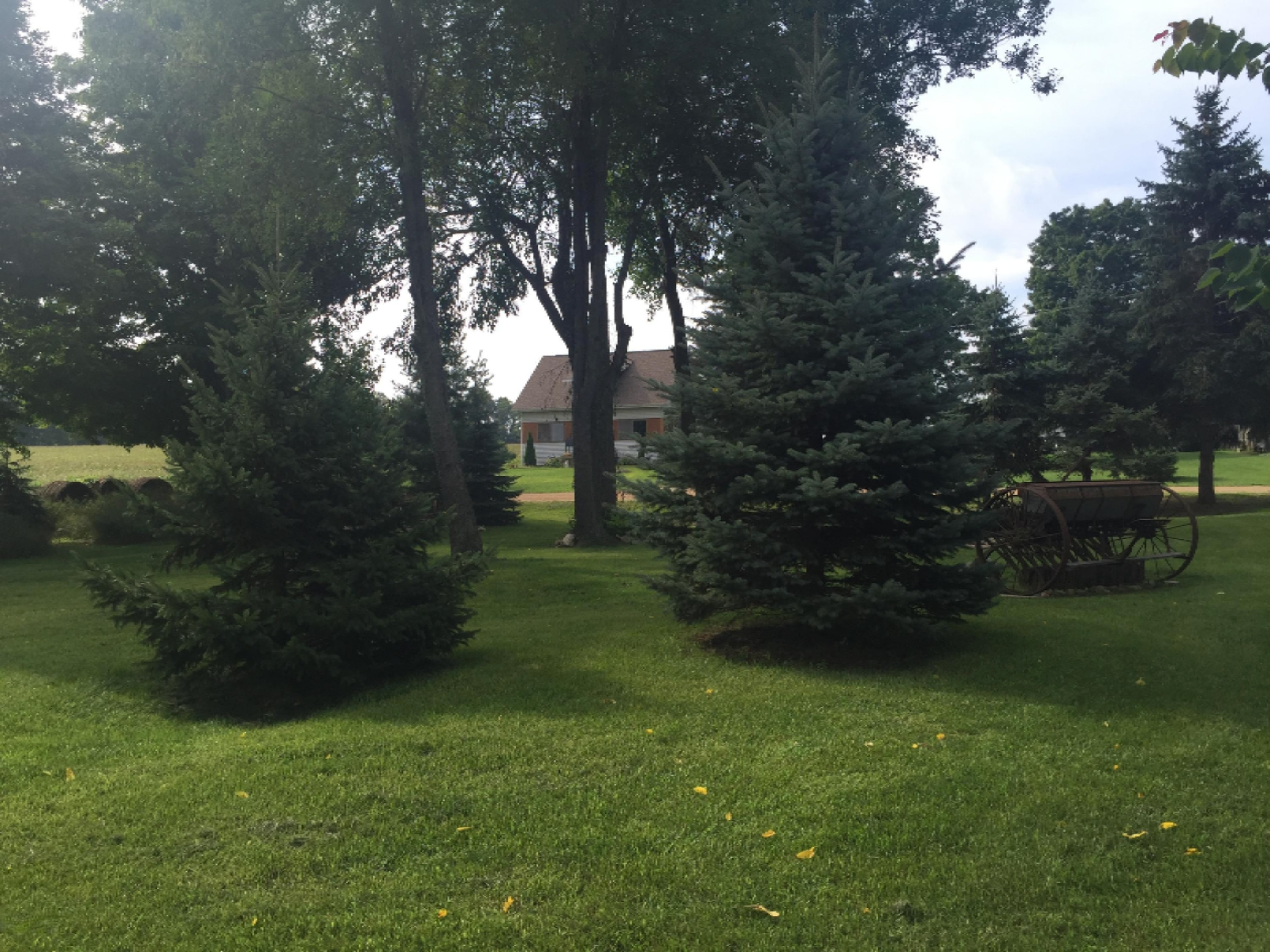 1266 Coplin Road Litchfield, MI 49252 - Photo 29 of 36 IMG_4857