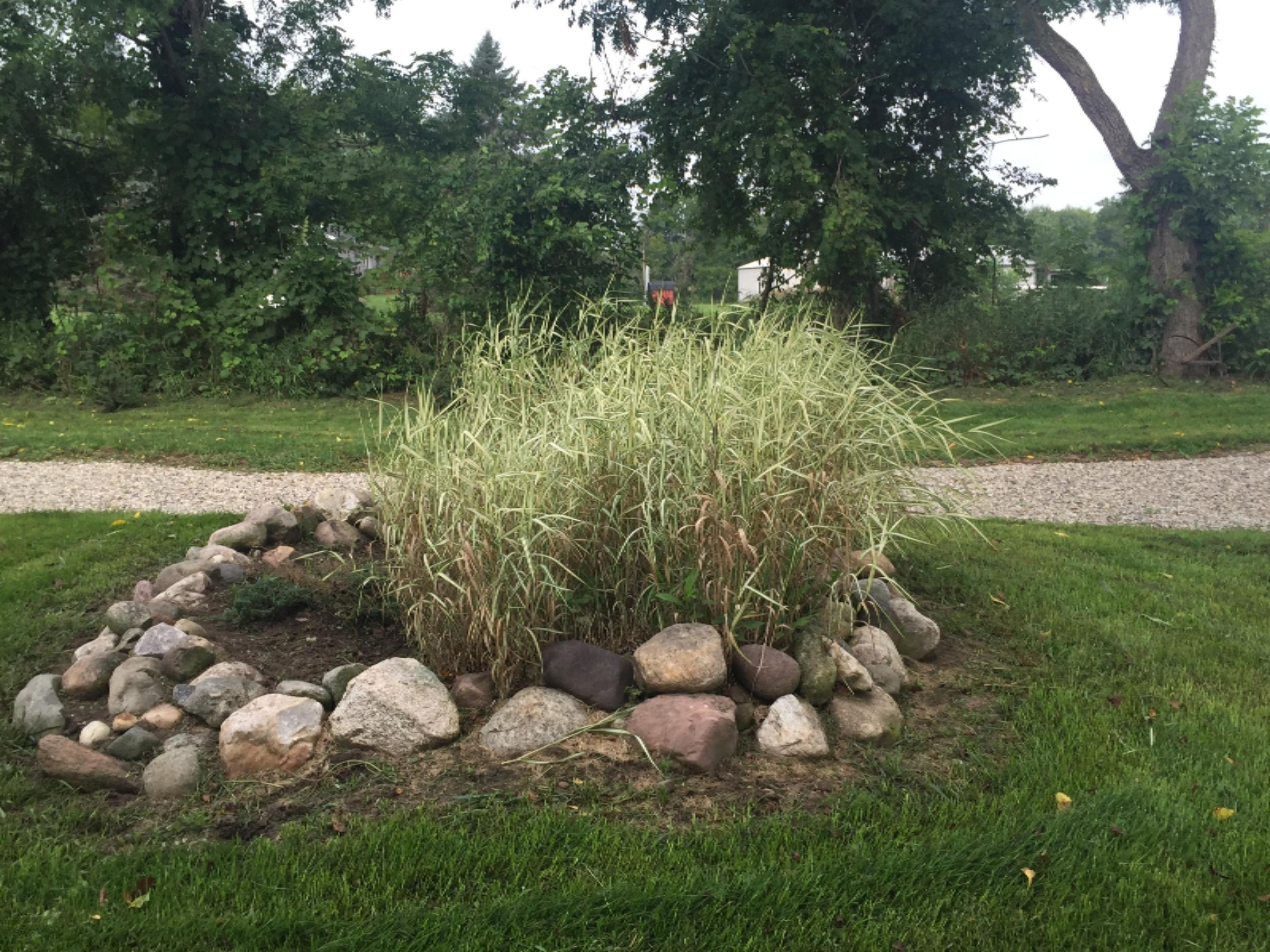 1266 Coplin Road Litchfield, MI 49252 - Photo 34 of 36 IMG_4862