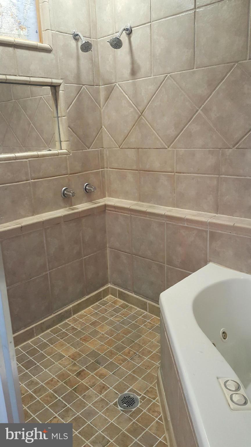 20116 Frog Level Road Ruther Glen, VA 22546 - Photo 14 of 17 Bath (Master)