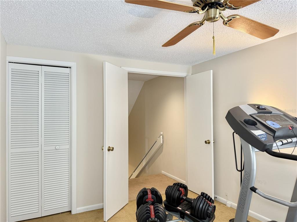 6101 Soaring Avenue Temple Terrace, FL 33617 - Photo 34 of 53 a view of a room with gym equipment