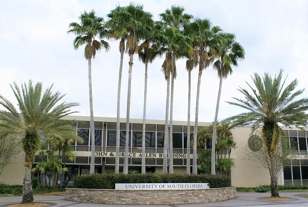 6101 Soaring Avenue Temple Terrace, FL 33617 - Photo 50 of 53 a view of a palm trees front of palm trees