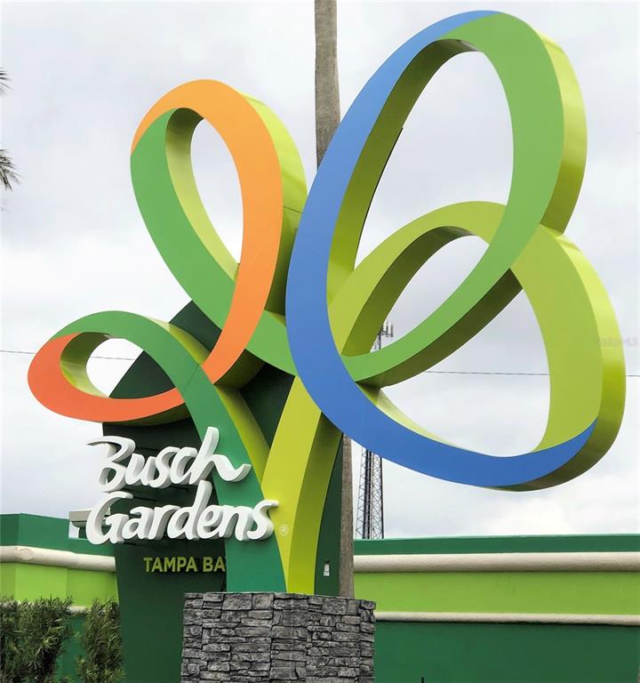 6101 Soaring Avenue Temple Terrace, FL 33617 - Photo 51 of 53 a view of a room with a swimming pool and outdoor space