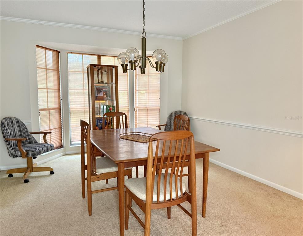 6101 Soaring Avenue Temple Terrace, FL 33617 - Photo 10 of 53 a view of a dining room with furniture and window