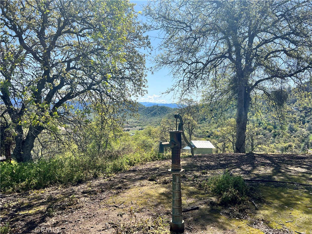 29290 Larkspur Road Tollhouse, CA 93667 - Photo 35 of 44