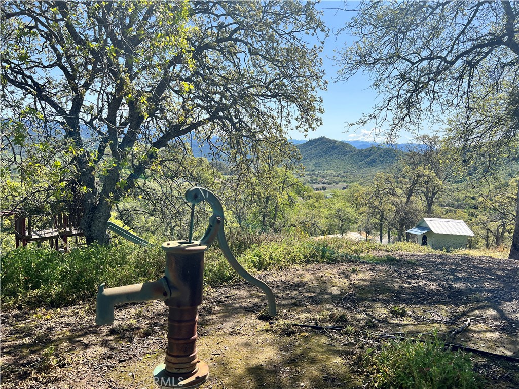 29290 Larkspur Road Tollhouse, CA 93667 - Photo 36 of 44