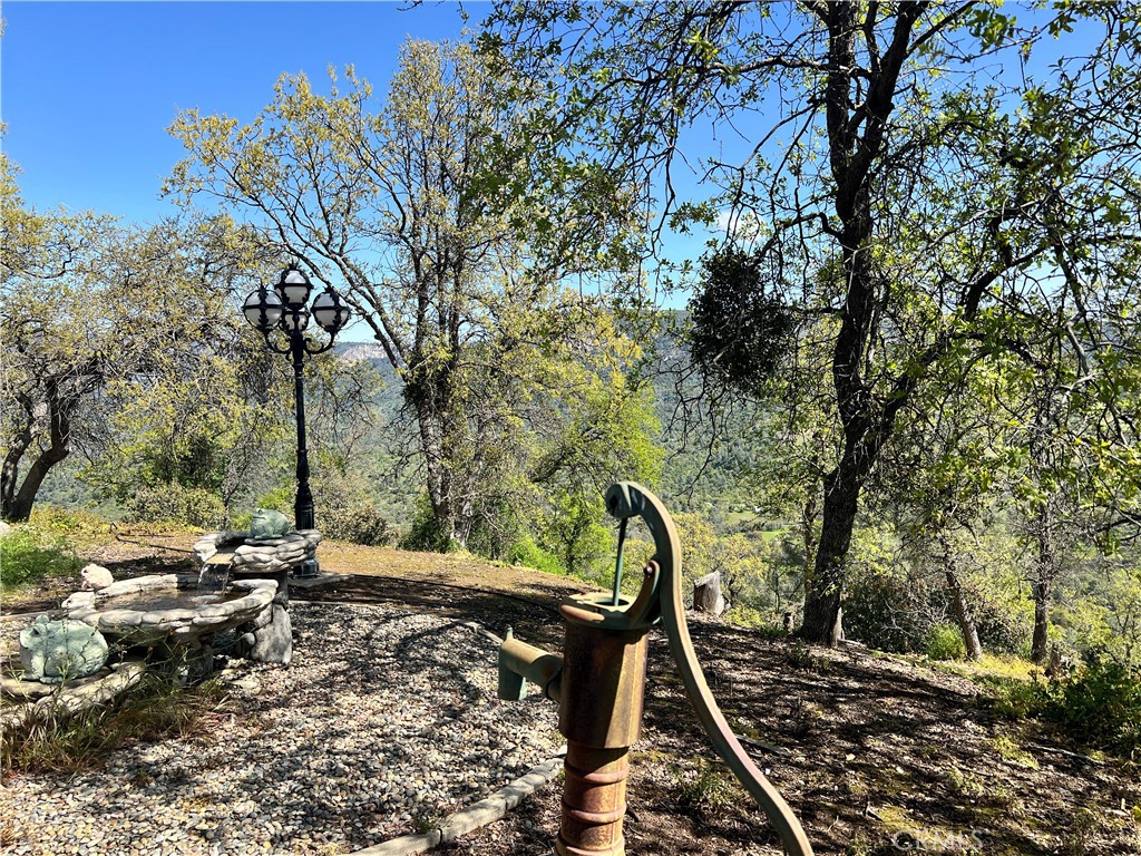 29290 Larkspur Road Tollhouse, CA 93667 - Photo 37 of 44