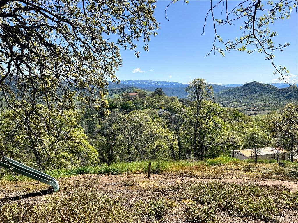 29290 Larkspur Road Tollhouse, CA 93667 - Photo 39 of 44