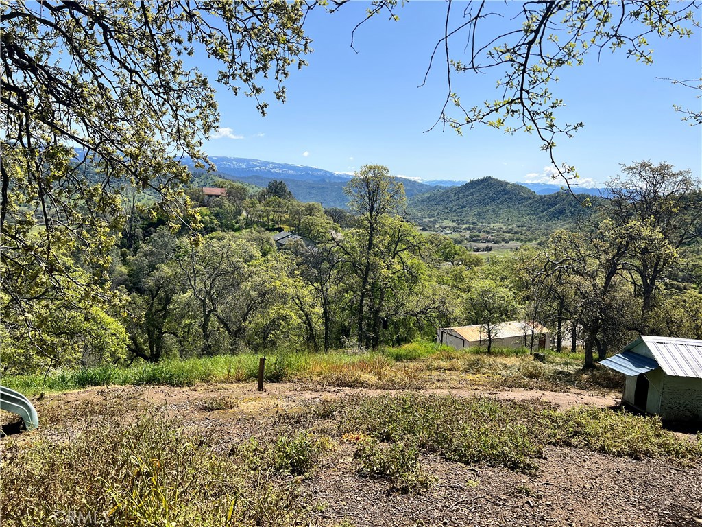 29290 Larkspur Road Tollhouse, CA 93667 - Photo 41 of 44