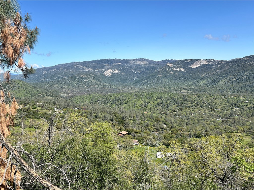 29290 Larkspur Road Tollhouse, CA 93667 - Photo 42 of 44