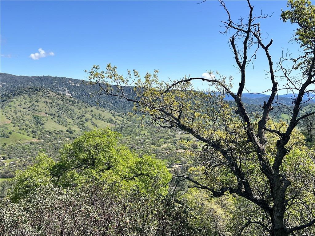 29290 Larkspur Road Tollhouse, CA 93667 - Photo 44 of 44