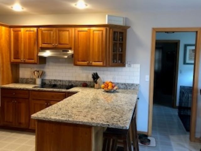 455 Halladay Road Middlebury, VT 05753 - Photo 3 of 24