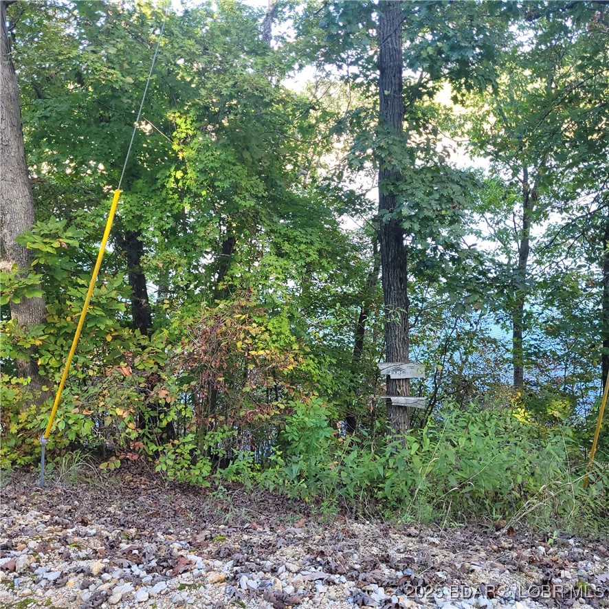 30664 Boyd Road Stover, MO 65078 - Photo 30 of 32 Waterfront lot