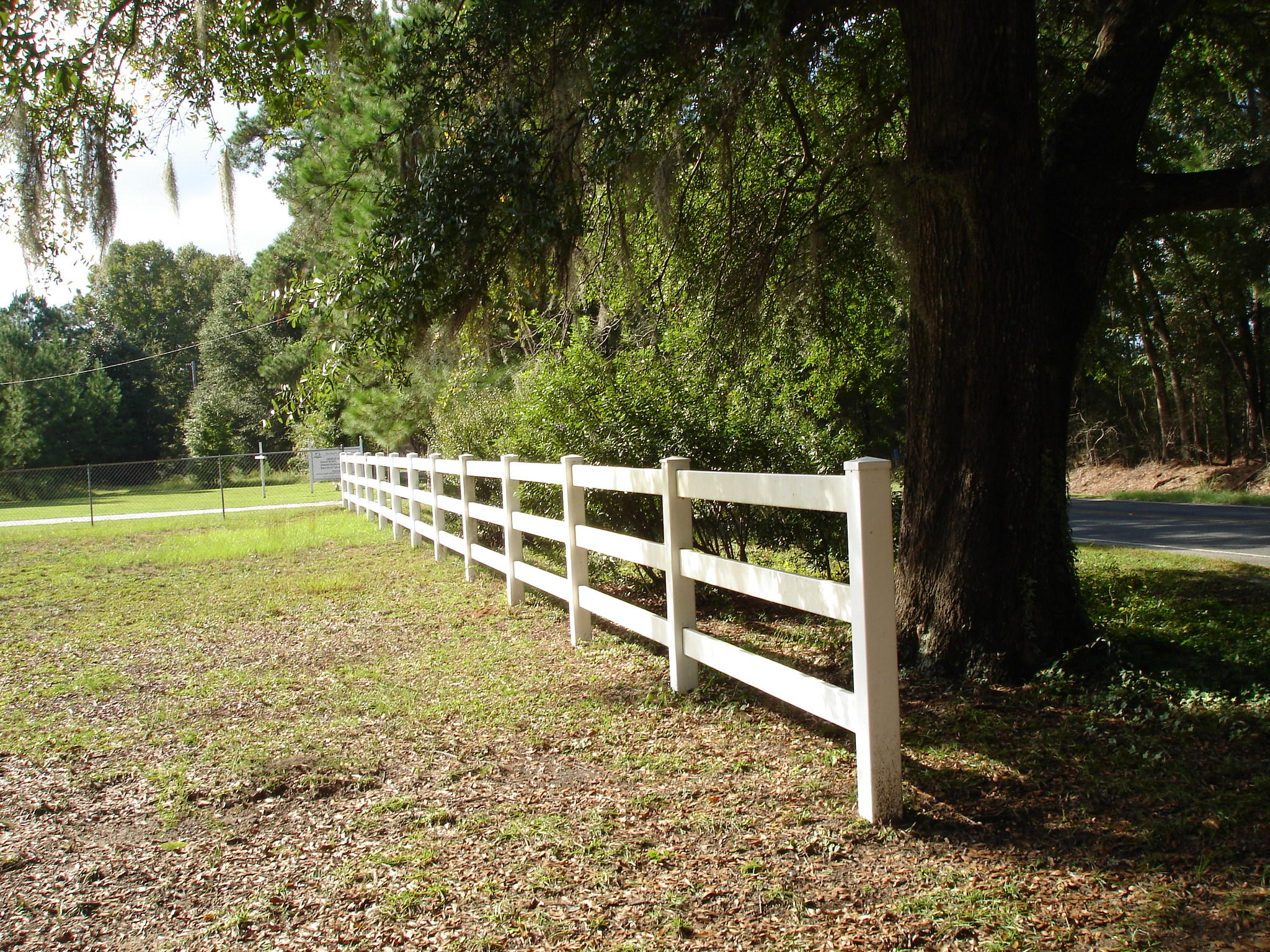 5657 Old Jacksonboro Road Ravenel, SC 29470 - Photo 2 of 35 Old Jacksonboro - Judith Crane (34)