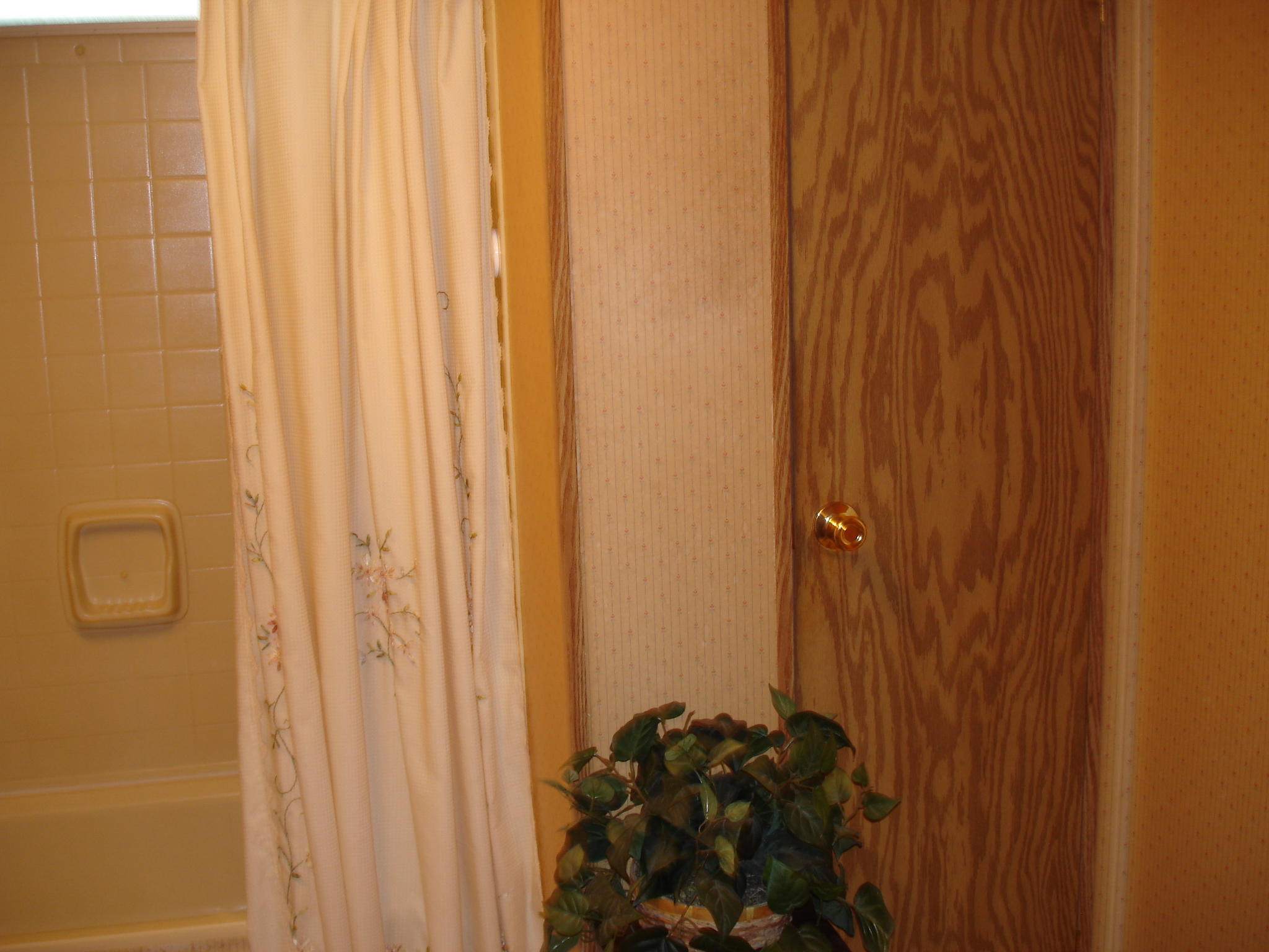 5657 Old Jacksonboro Road Ravenel, SC 29470 - Photo 21 of 35 Old Jacksonboro - Judith Crane (18)
