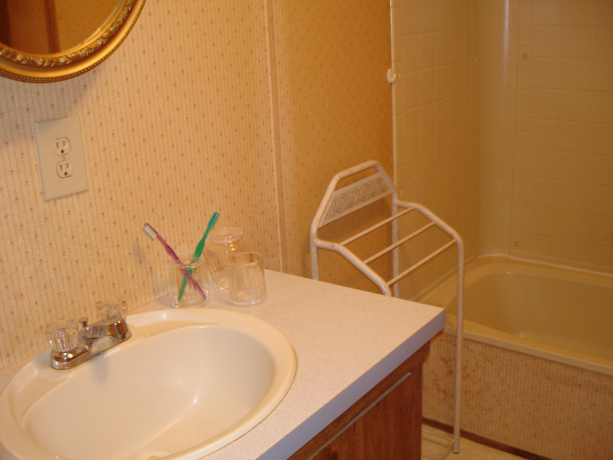 5657 Old Jacksonboro Road Ravenel, SC 29470 - Photo 22 of 35 Old Jacksonboro - Judith Crane (17)