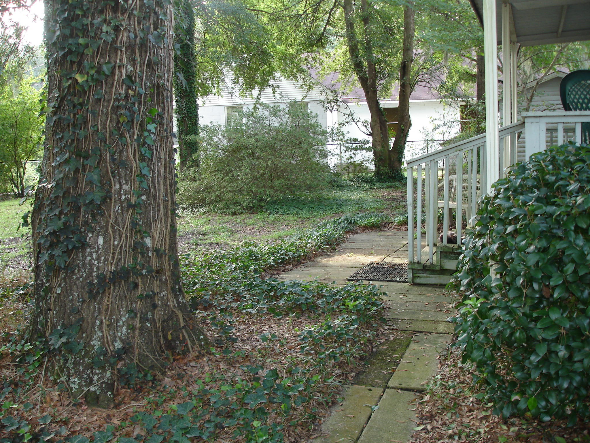 5657 Old Jacksonboro Road Ravenel, SC 29470 - Photo 4 of 35 Old Jacksonboro - Judith Crane (29)