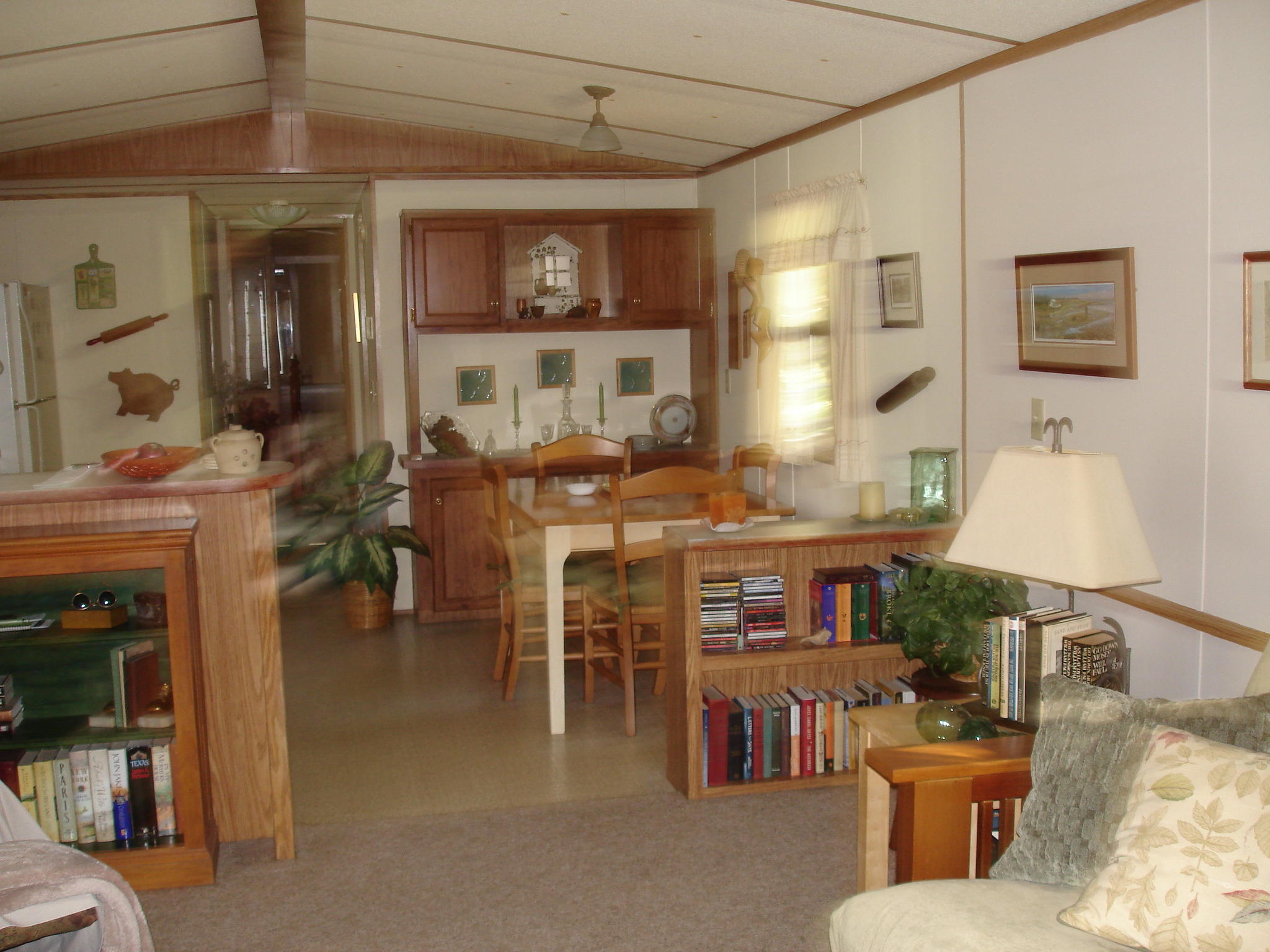 5657 Old Jacksonboro Road Ravenel, SC 29470 - Photo 35 of 35 Old Jacksonboro - Judith Crane (3)