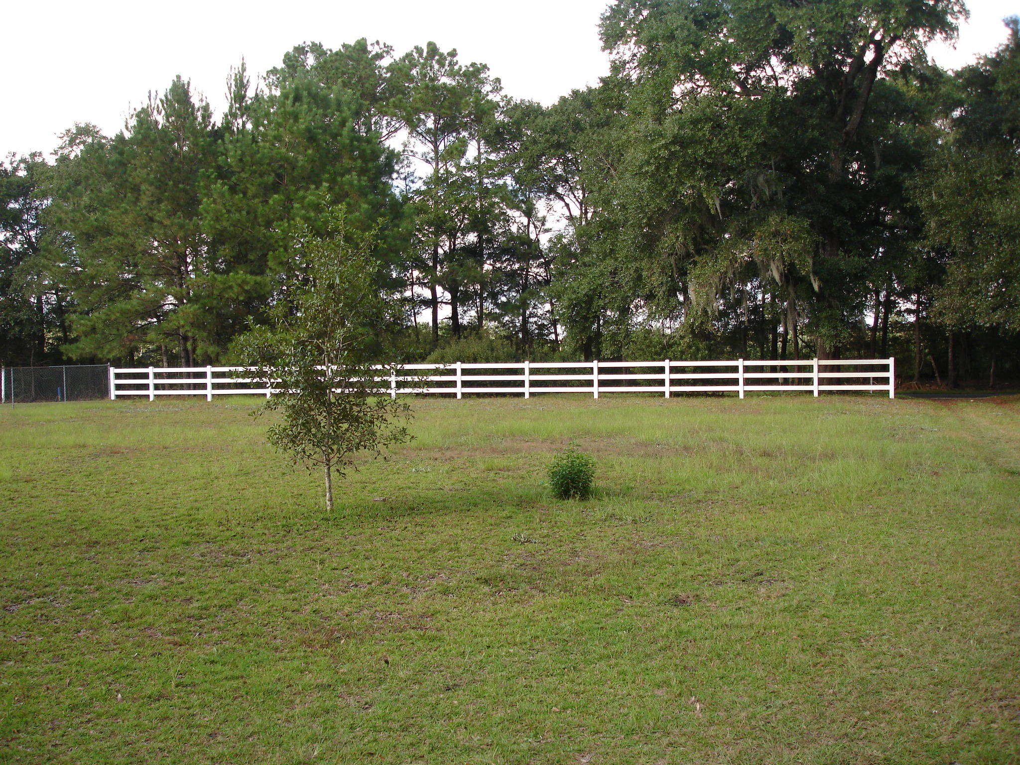 5657 Old Jacksonboro Road Ravenel, SC 29470 - Photo 6 of 35 Old Jacksonboro - Judith Crane (33)
